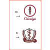 Jaleco Feminino Odontologia Logo Personalizado - Voce Escolhe 10 ou 11